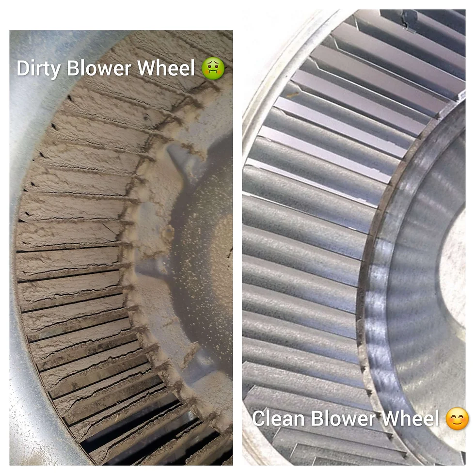 Dirty and clean blower wheel